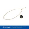 vòng cổ titanium Chain GOLD IP Adzuki