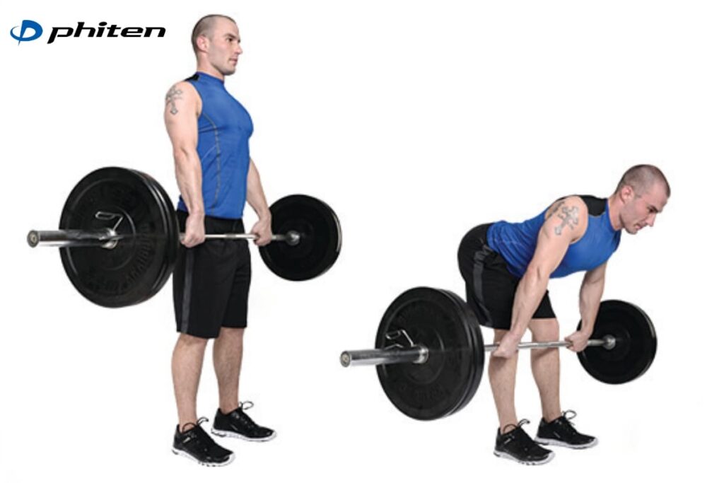 Cách tập pickleball tại nhà với các bài tập bổ trợ hiệu quả 14 bài tập romanian deadlift